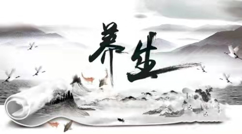 经络养生：传统智慧与现代生活的完美融合