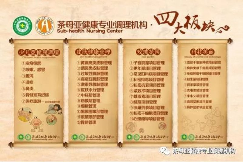 经络养生：传统智慧与现代生活的融合